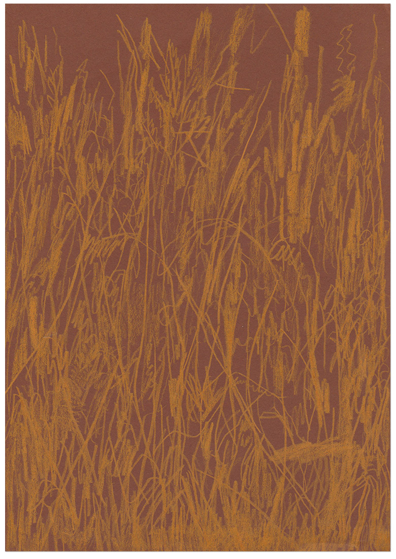 content/Works/2022/(4)Land